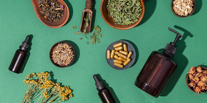 Primeiras plantas medicinais plantas uso medicinal